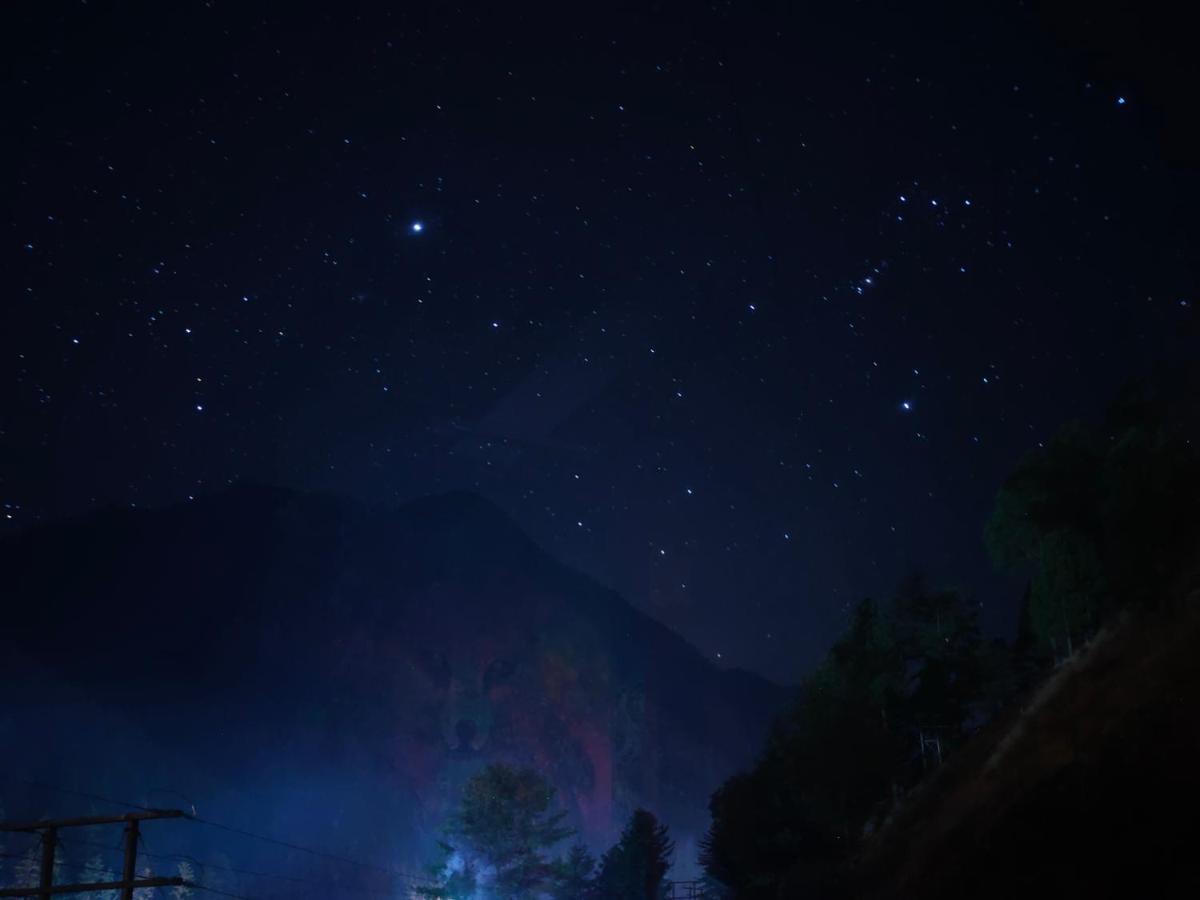 Snow View Guest House Kasol Exterior foto